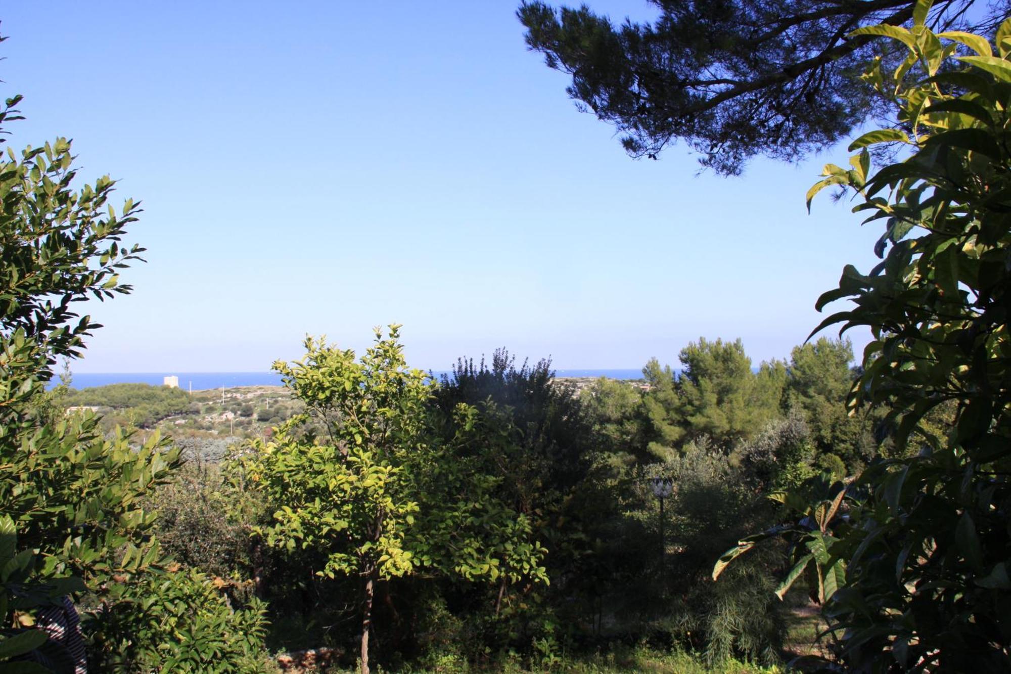 Residence Gli Stingi Vieste Buitenkant foto